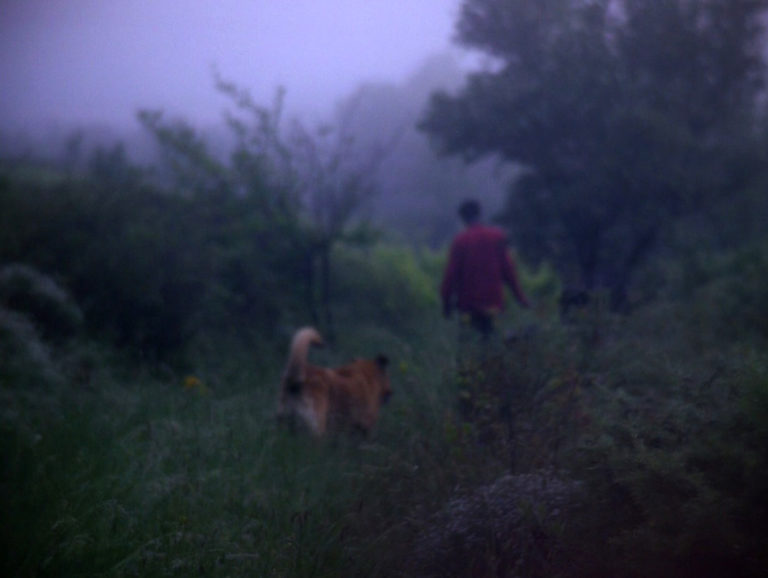 //www.occitanie-films.netL'âge d'or © Jean-Baptiste Alazard