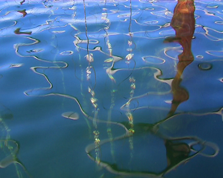 Reflets sur l'eau