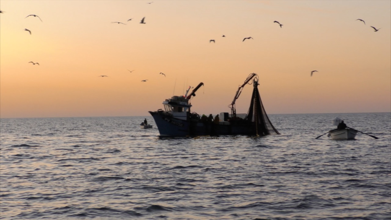 Paysans de la mer. Photo du film de Bernard Arnauld