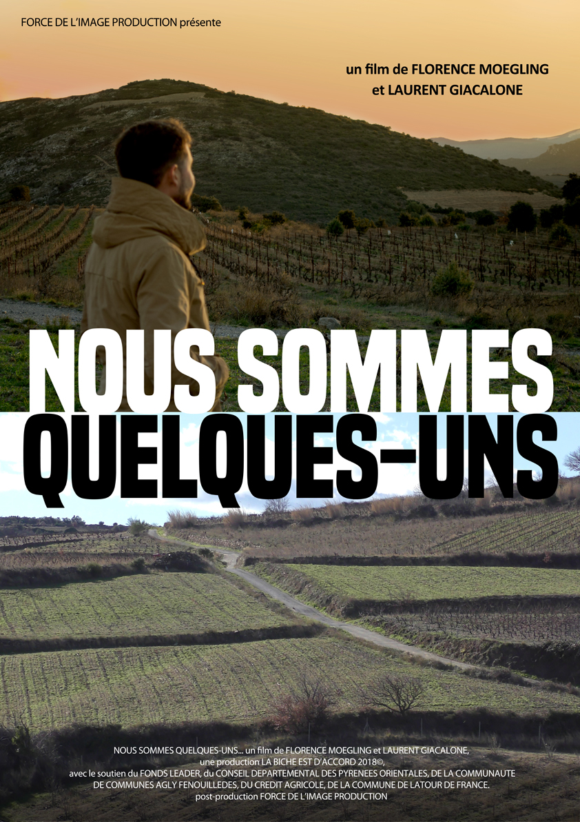 Affiche du film Nous sommes quelques-uns