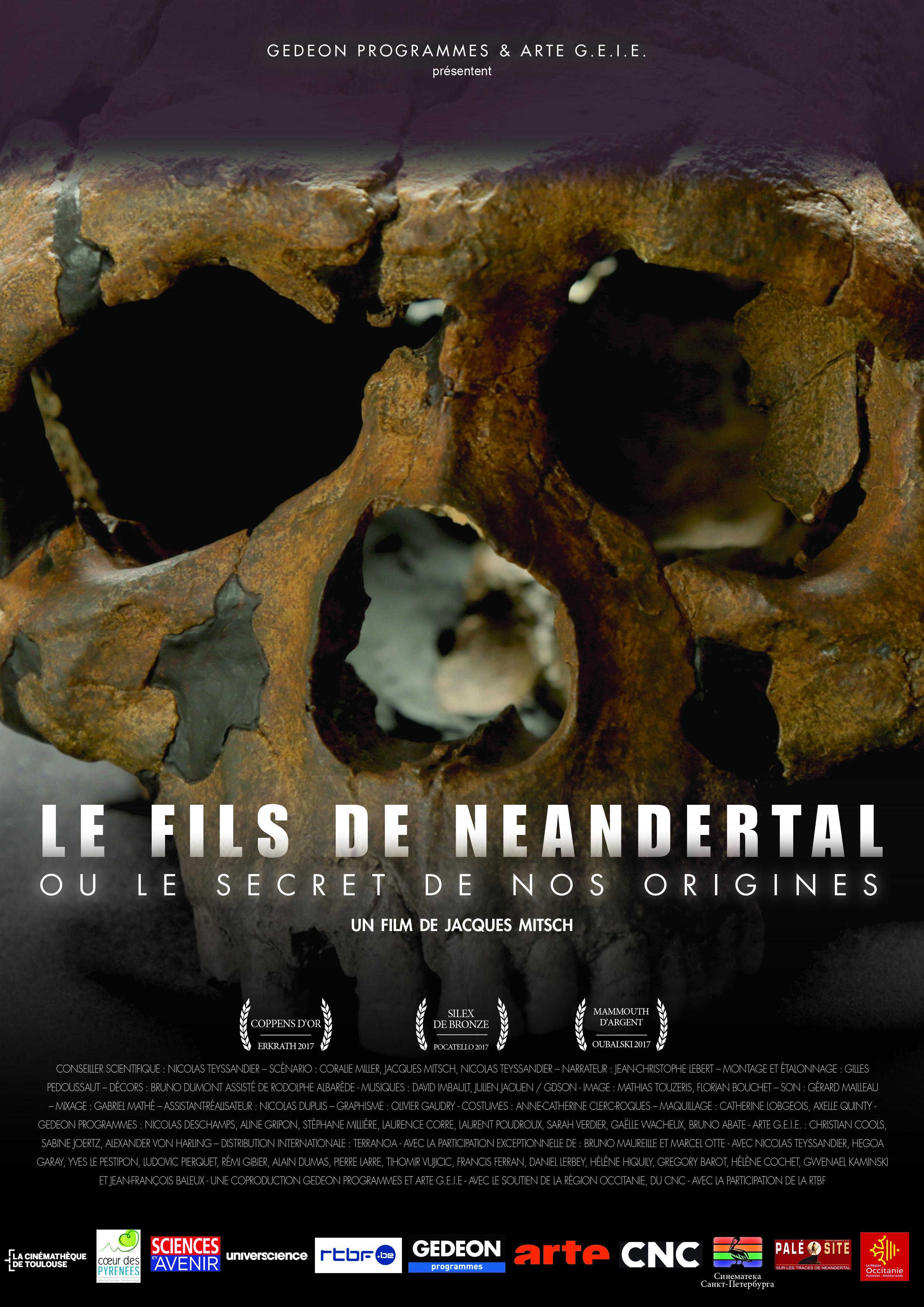 Affiche du film Le Fils de Neandertal