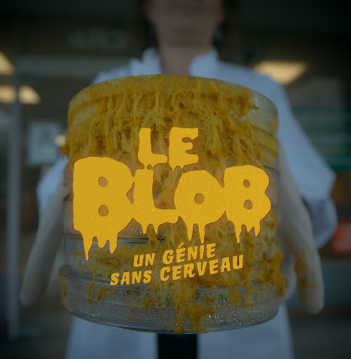 Photo du film Le Blob