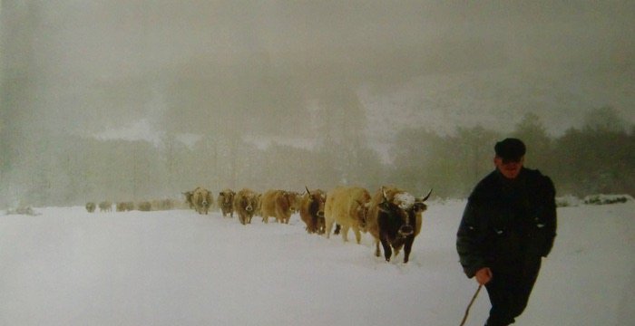 Photo du film L’Azégado