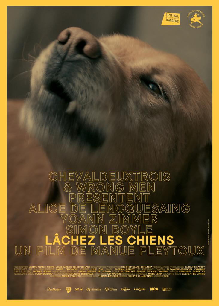 Affiche du film Lâchez les chiens