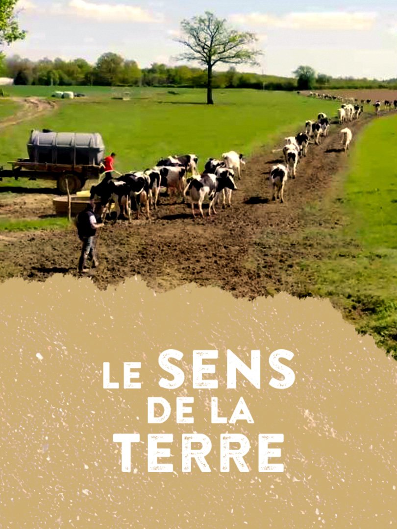 Affiche - Le Sens de la Terre - Camille Morhange et Karine Music - AMDA Production