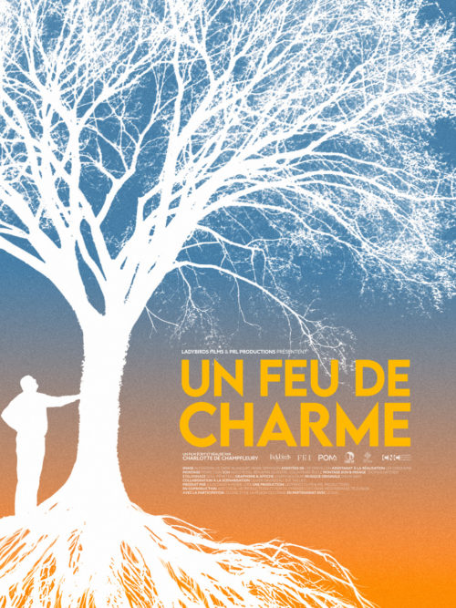 Affiche du film - Un feu de charme de Charlotte de Champfleury © 2025 LadyBirds Films