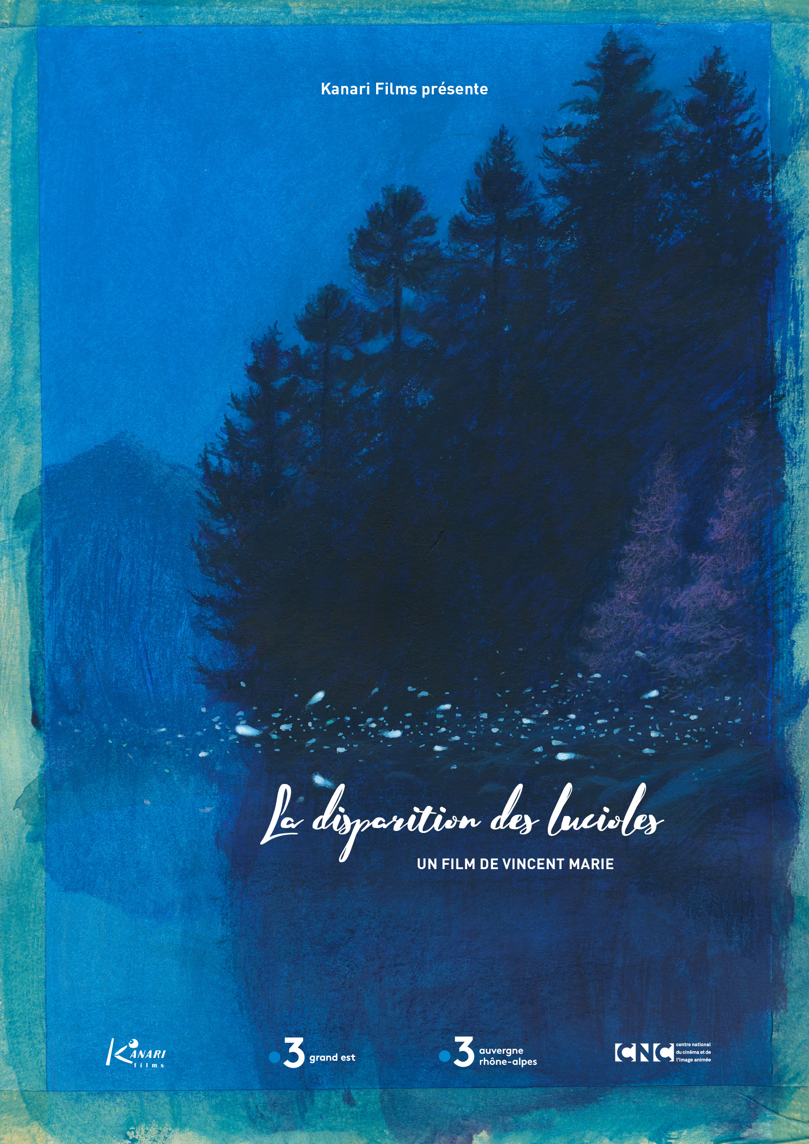 Affiche du film - La disparition des lucioles de Vincent Marie © Kanari Films