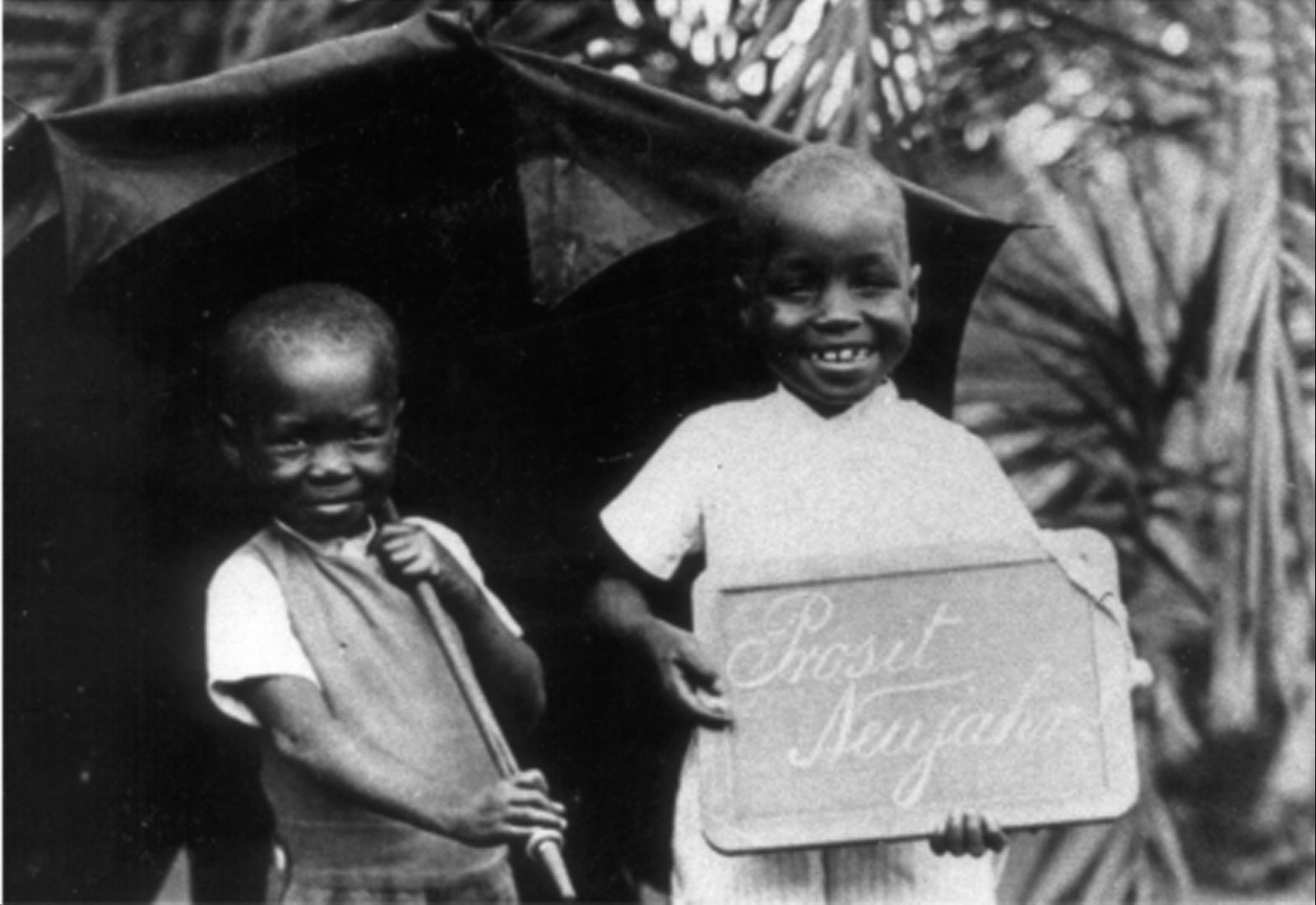 Afrique, je te plumerai... - © Les Films du raphia