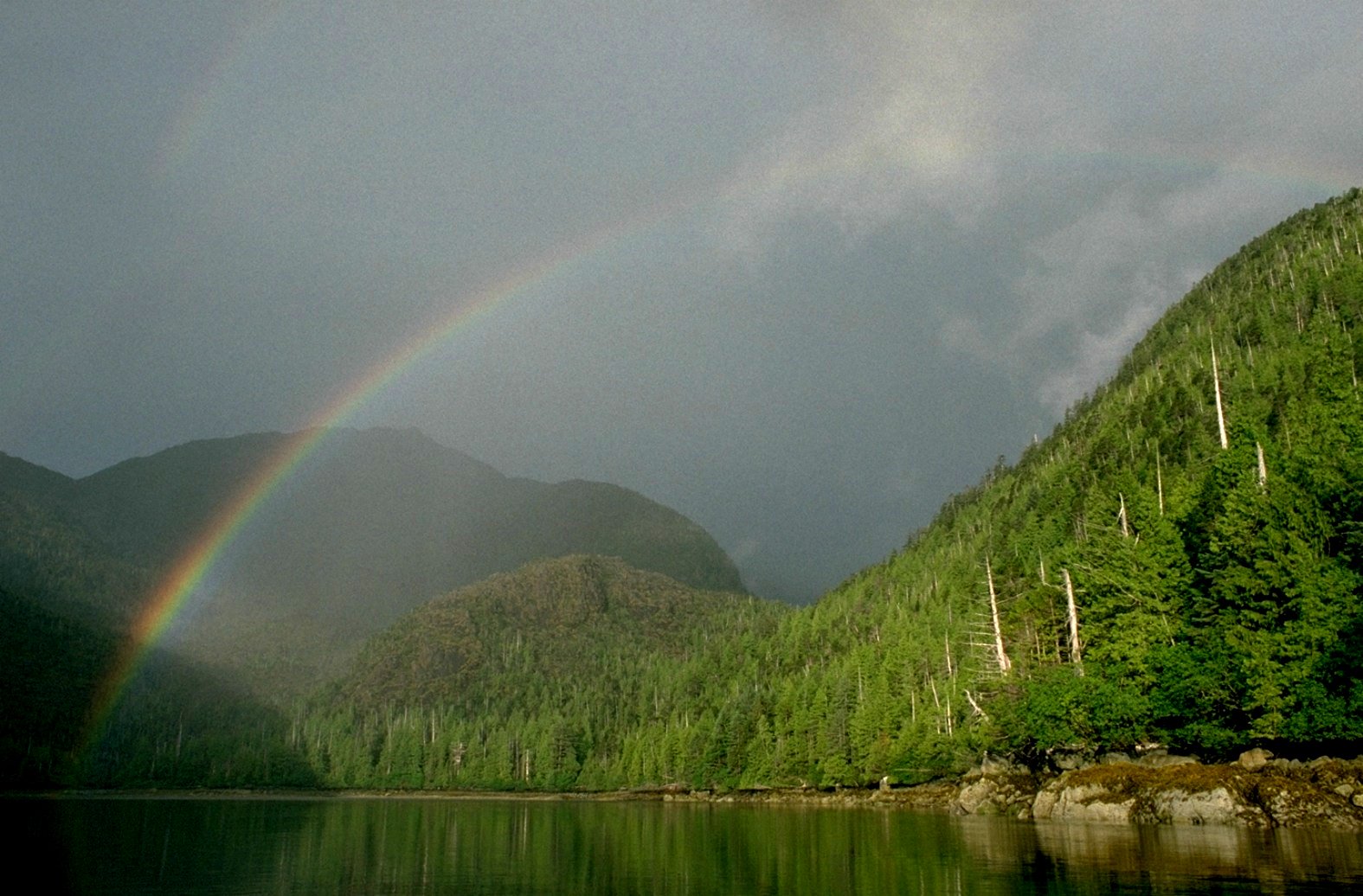 Arc-en-ciel au-dessus de collines verdoyantes